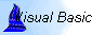 Visual Basic